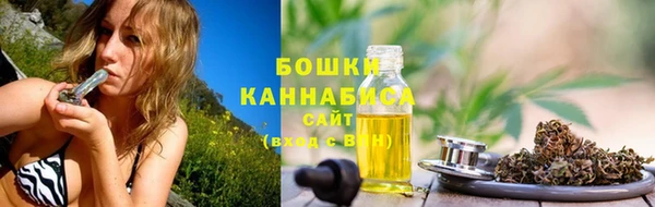 тгк Нея