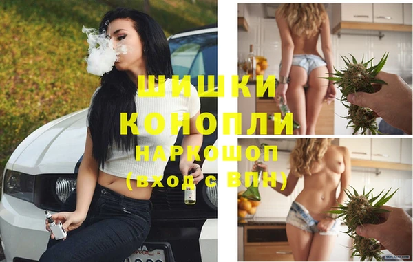 тгк Нея