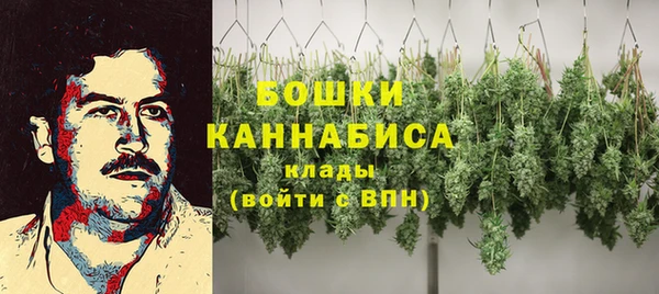 тгк Нея