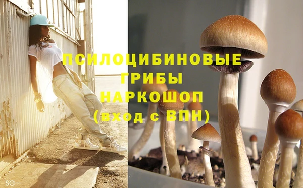 ГАЛЛЮЦИНОГЕННЫЕ ГРИБЫ Майский